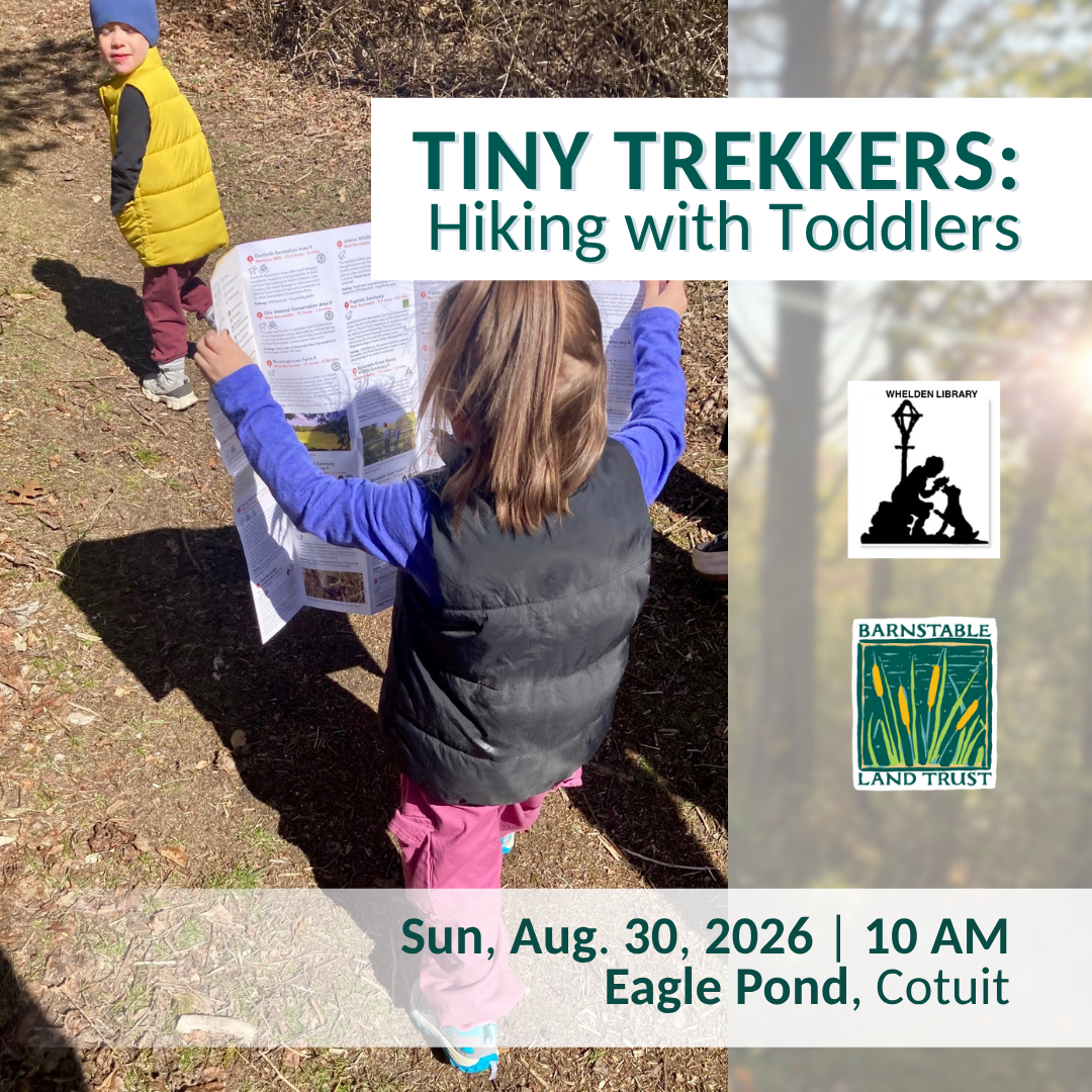 Tiny Trekkers: Hiking with Toddlers (Partner Program)