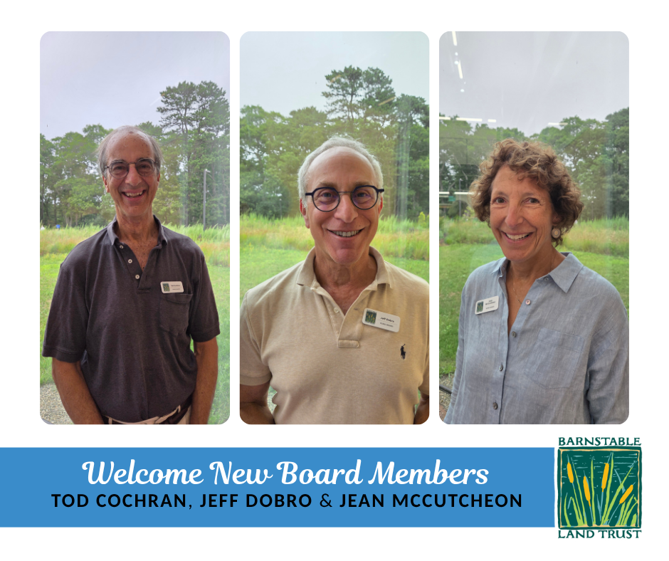 New Board Members.png