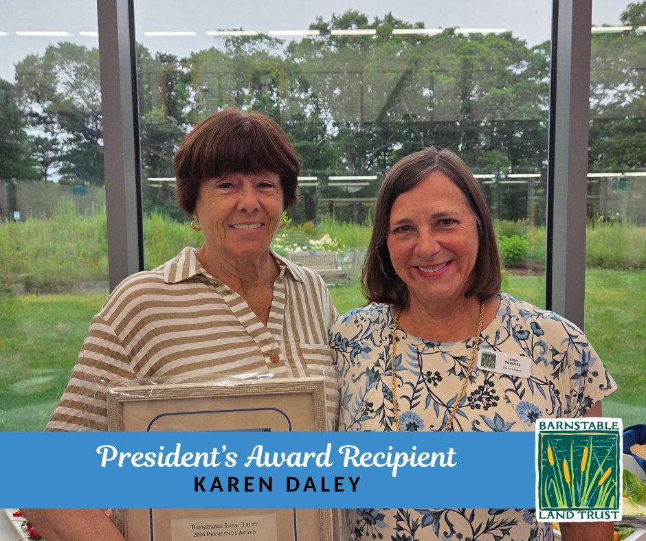 President's Award Karen Daley.png