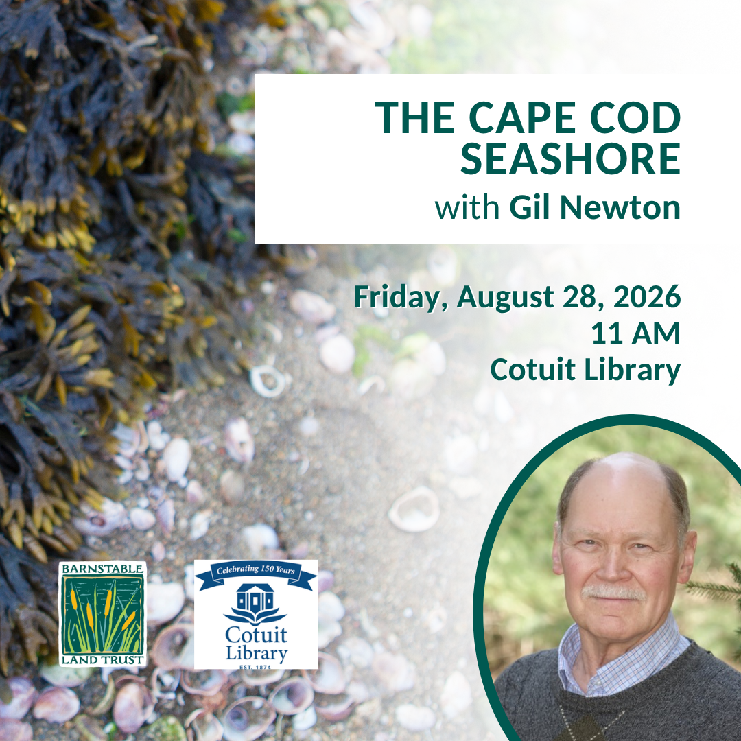 Cape Cod Seashore with Gil Newton (Partner Program)