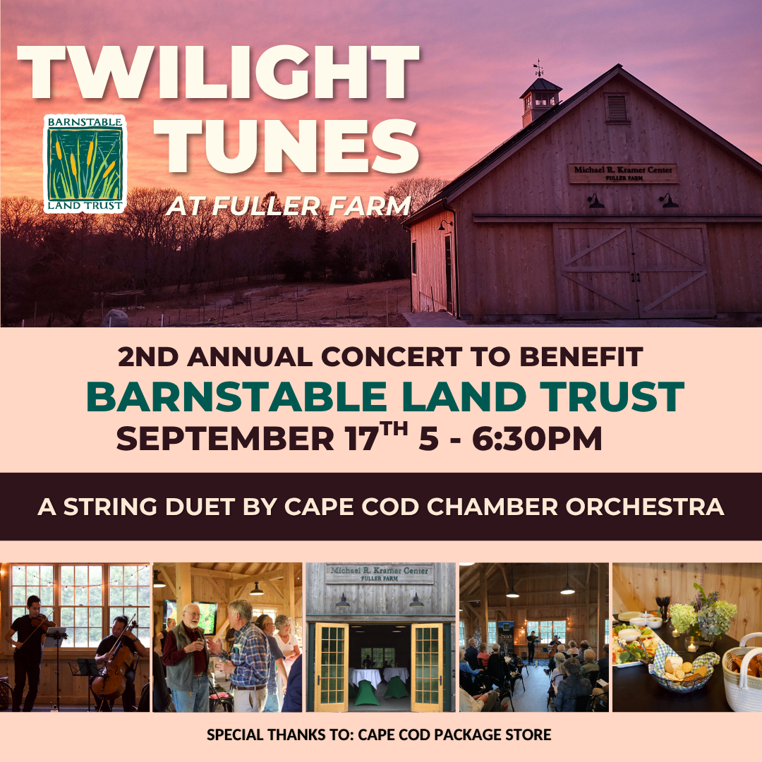 Twilight Tunes