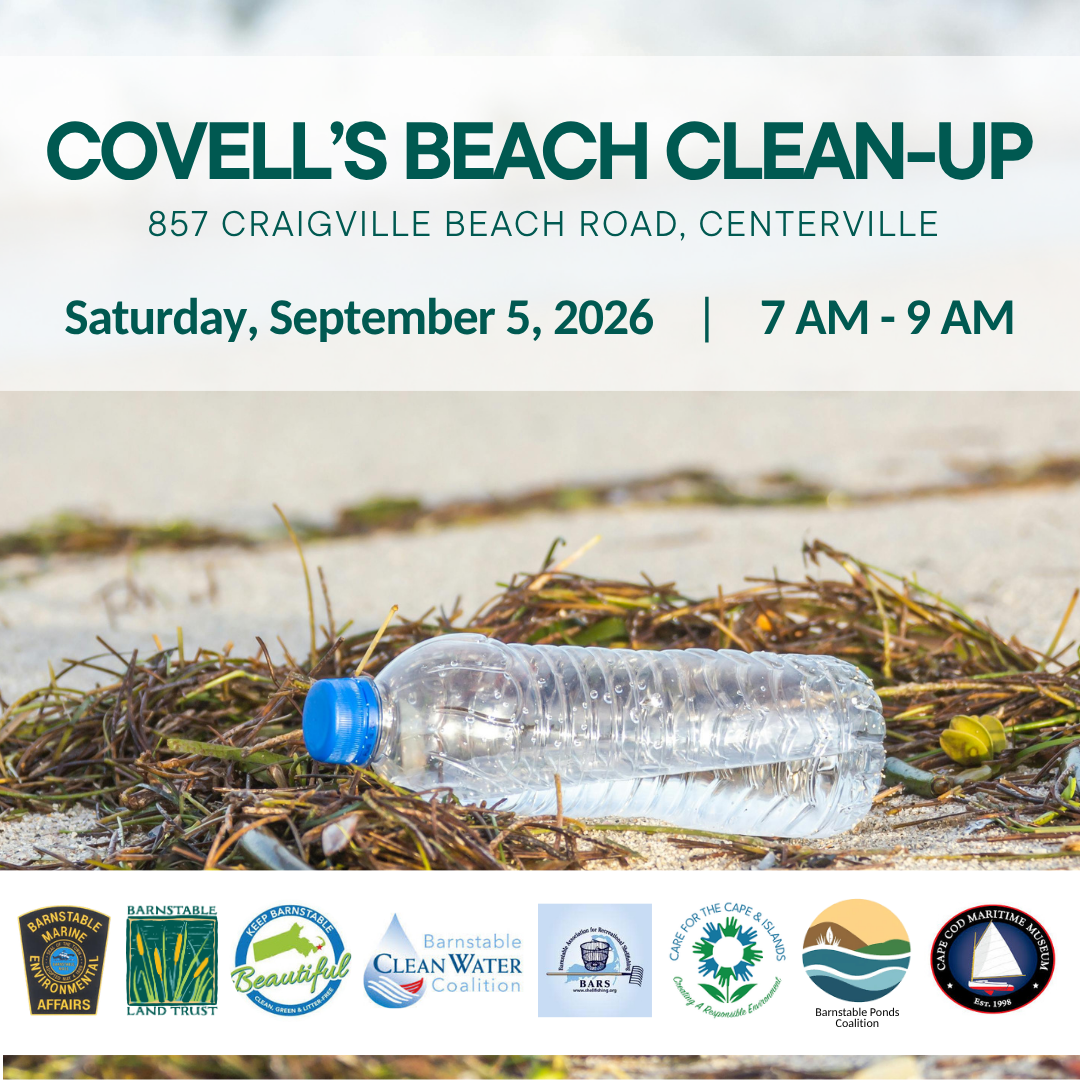 Covell's Beach Clean-up (Partner Program)