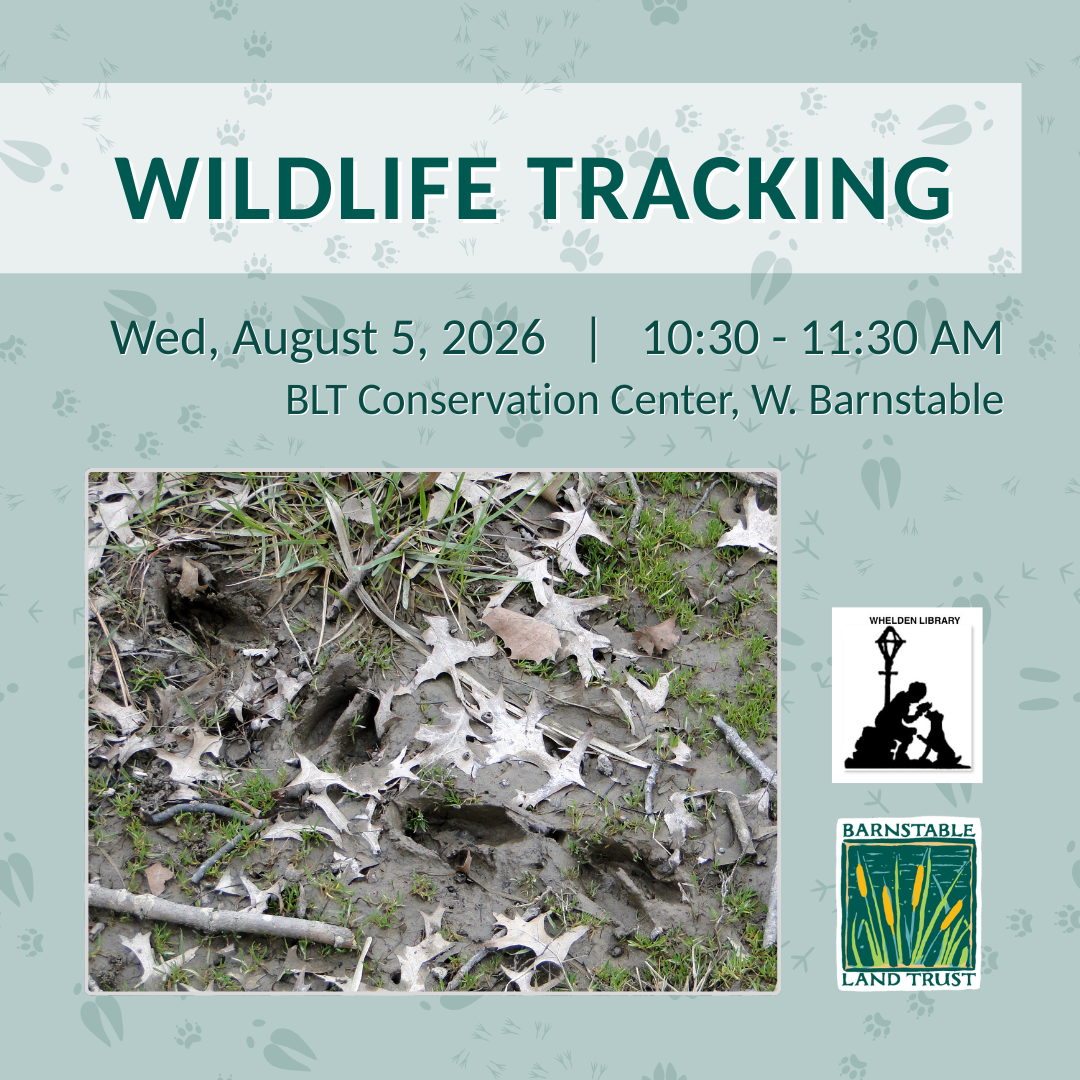 Wildlife Tracking (Partner Program)