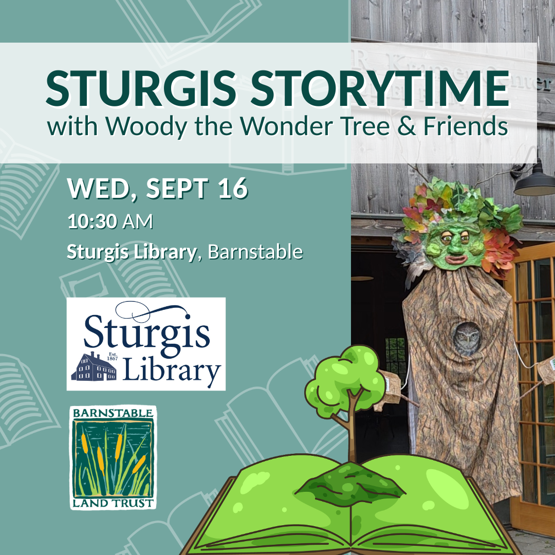 Sturgis Storytime with Woody the Wonder Tree and Friends (Partner Program)