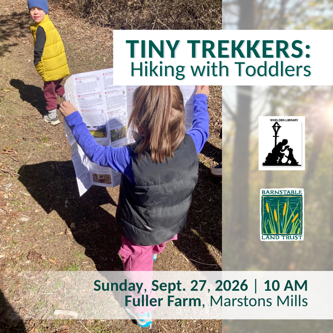 Tiny Trekkers: Hiking with Toddlers (Partner Program)