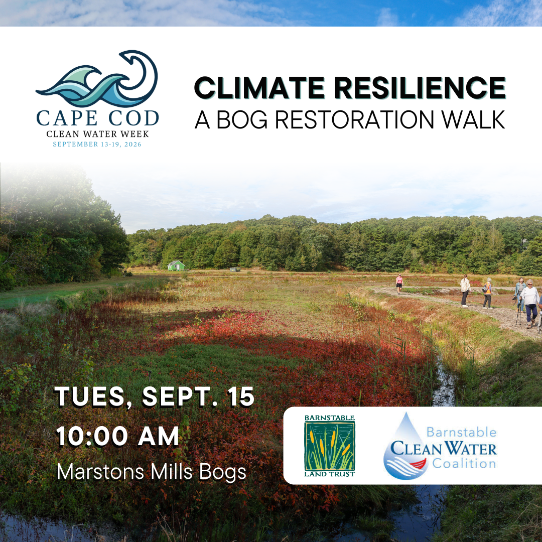 Climate Resilience: A Bog Restoration Walk (Partner Program)