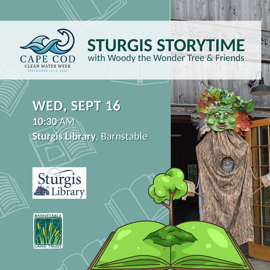 Sturgis Storytime with Woody the Wonder Tree and Friends (Partner Program)