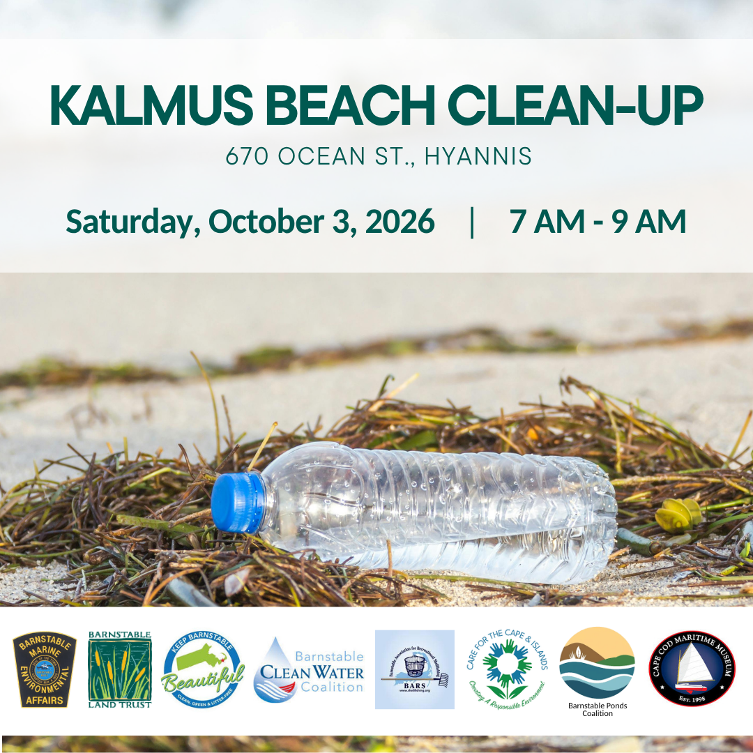 Kalmus Beach Clean-up
