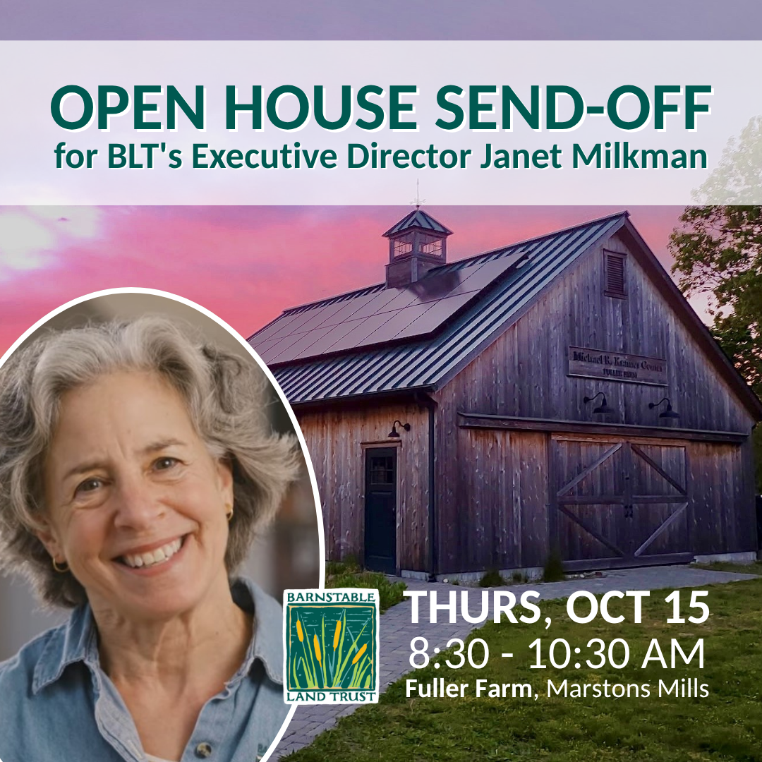 Open House Send-Off for BLT's Executive Director Janet Milkman