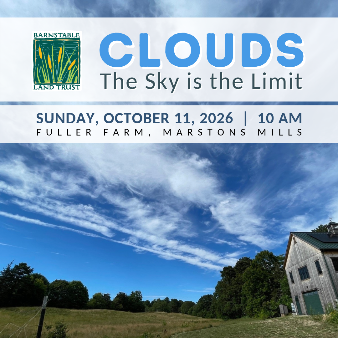Clouds: The Sky is the Limit