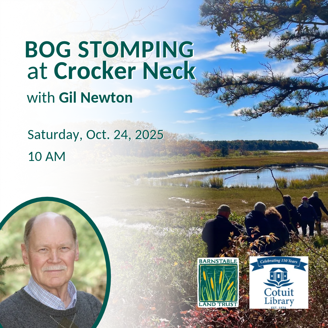 Bog Stomping At Crocker Neck (Partner Program)