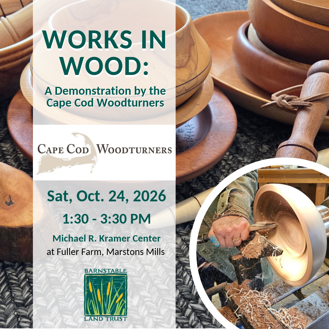 Works in Wood: A Demonstration by the Cape Cod Woodturners