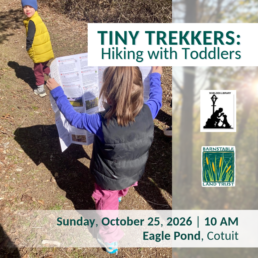 Tiny Trekkers: Hiking with Toddlers (Partner Program)