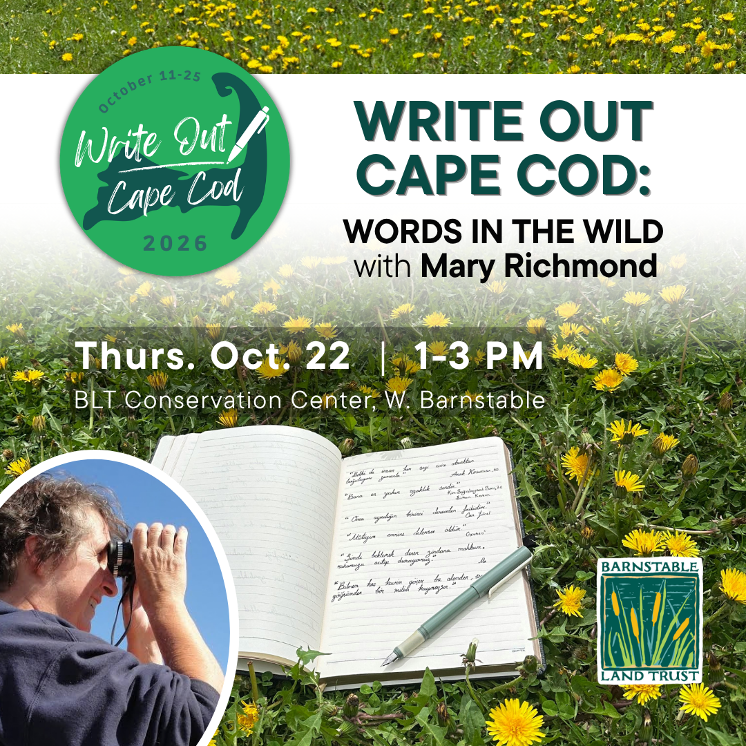 Write Out Cape Cod:  Words in the Wild with Mary Richmond