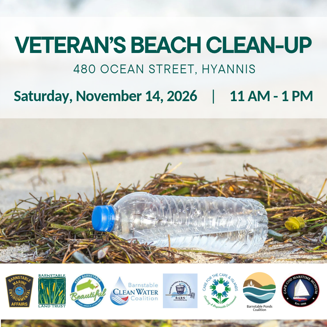 Veteran's Beach Clean-up (Partner Program)
