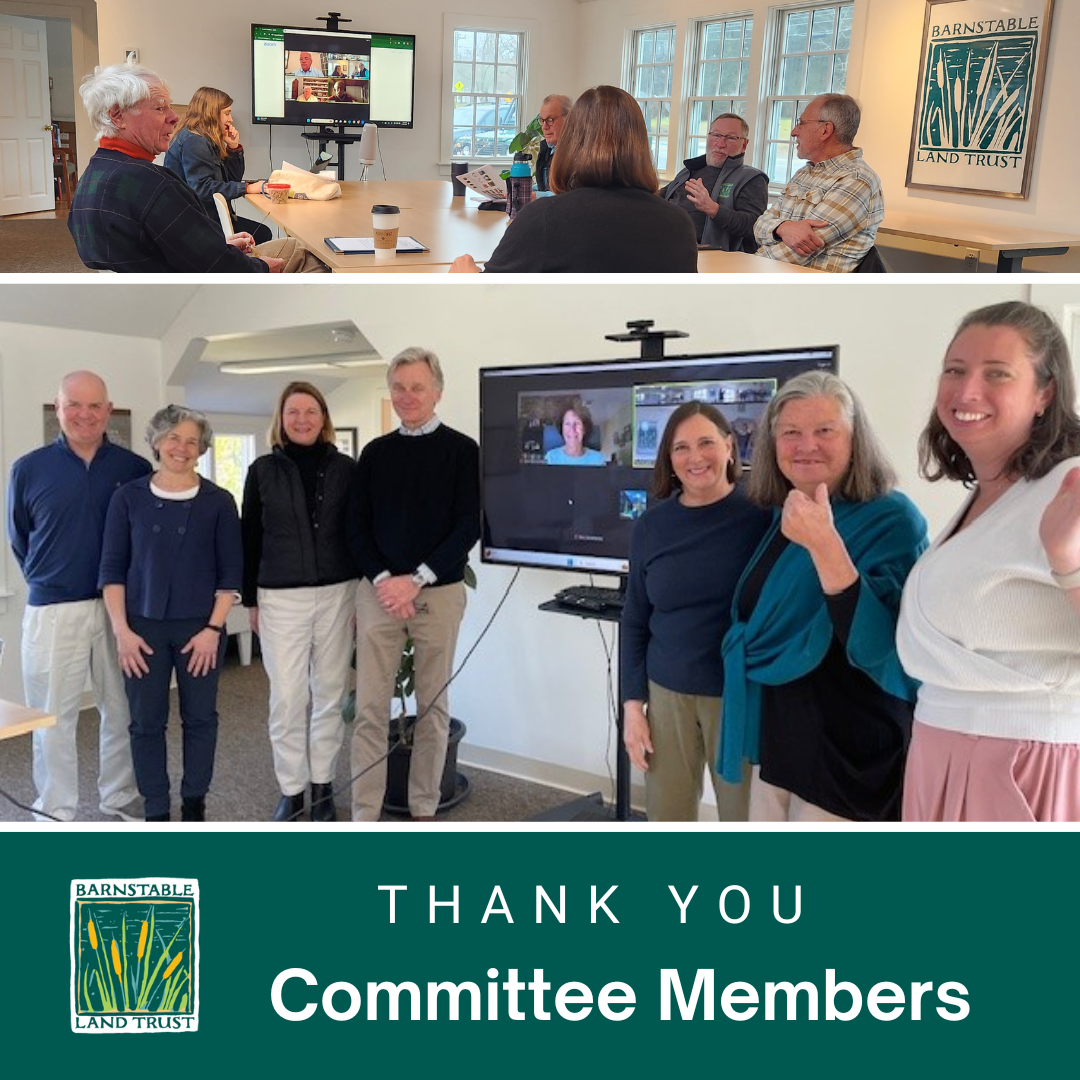 Committee Members.png