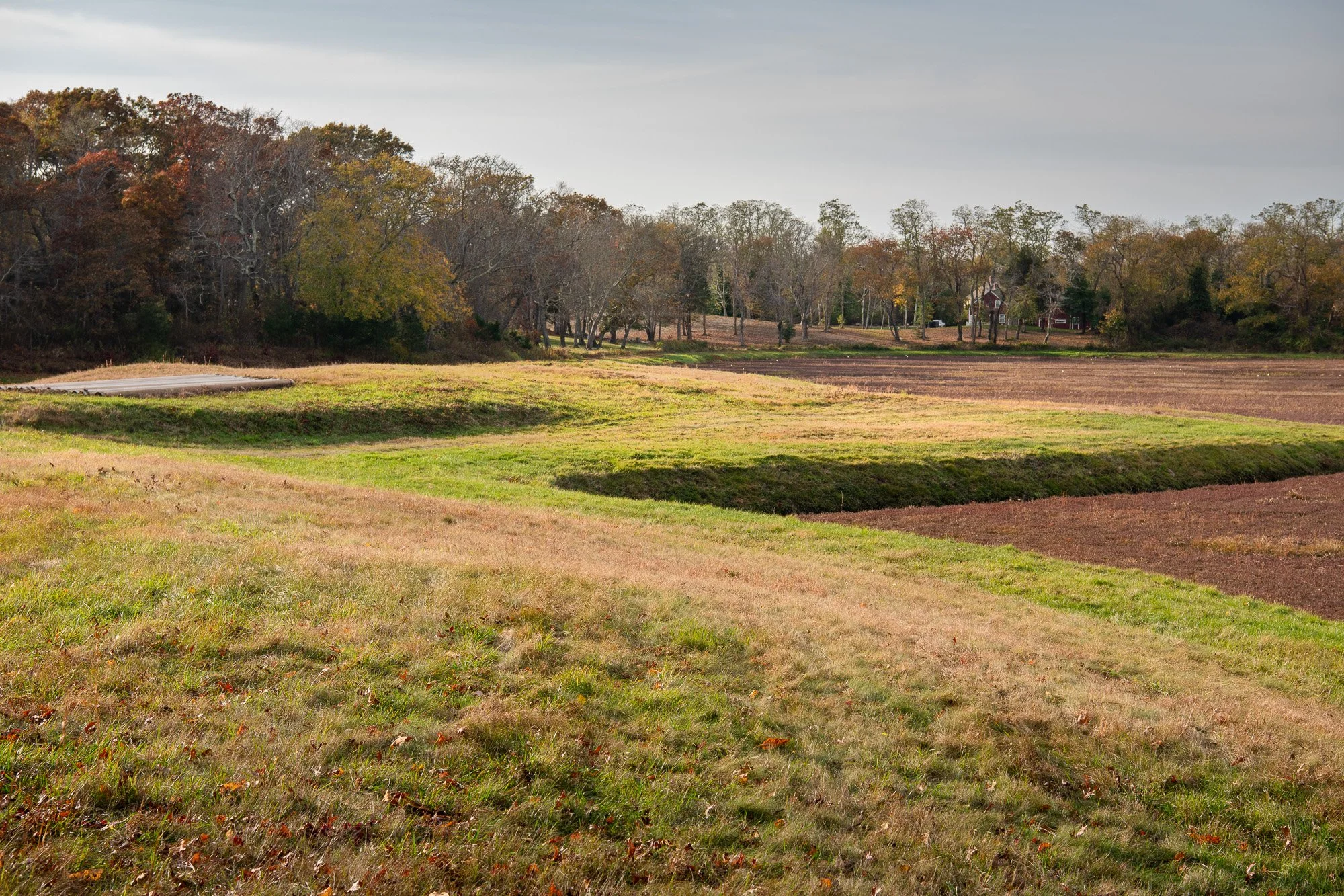 Project Bog Active Land Projects — Barnstable Land Trust