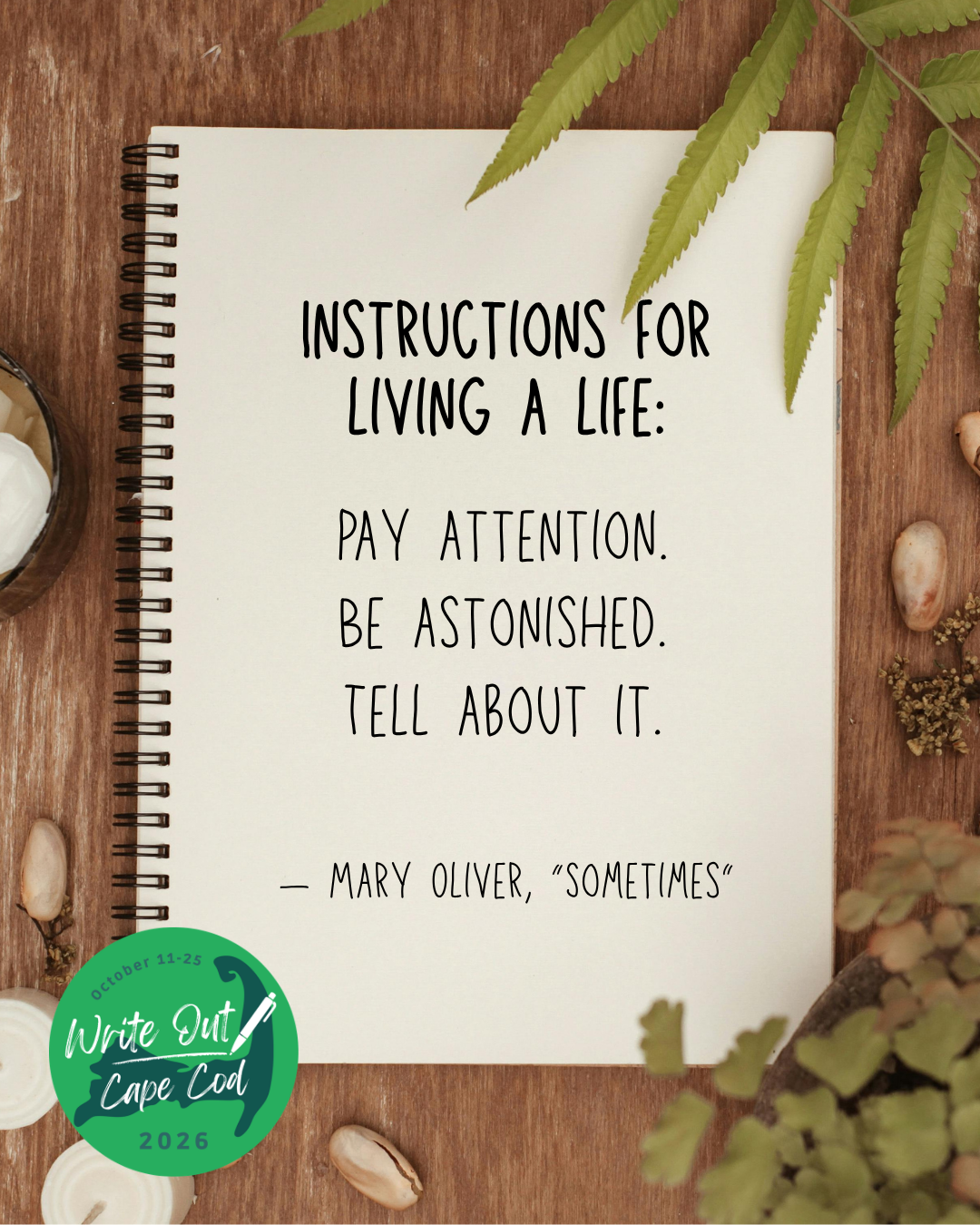 "Instructions for living a life: Pay attention. Be astonished. Tell about it. - Mary Oliver, "Sometimes"