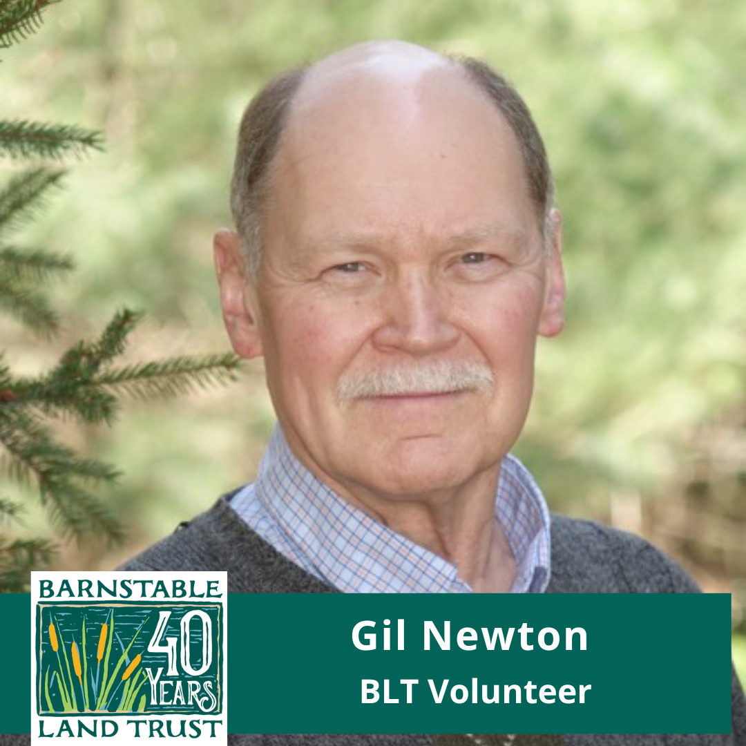 2023- Gil Newton.png