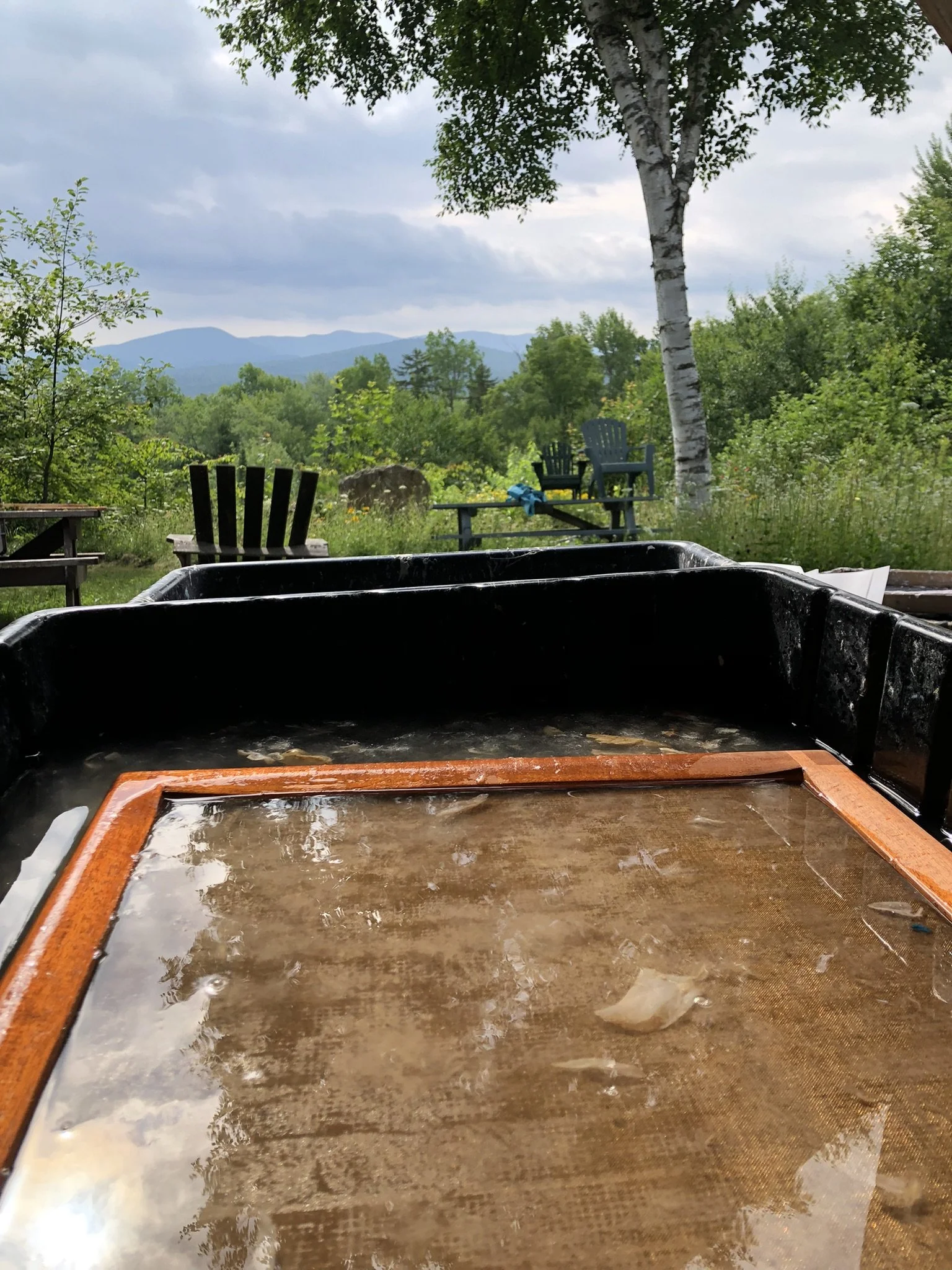 Handmade paper & paper samples