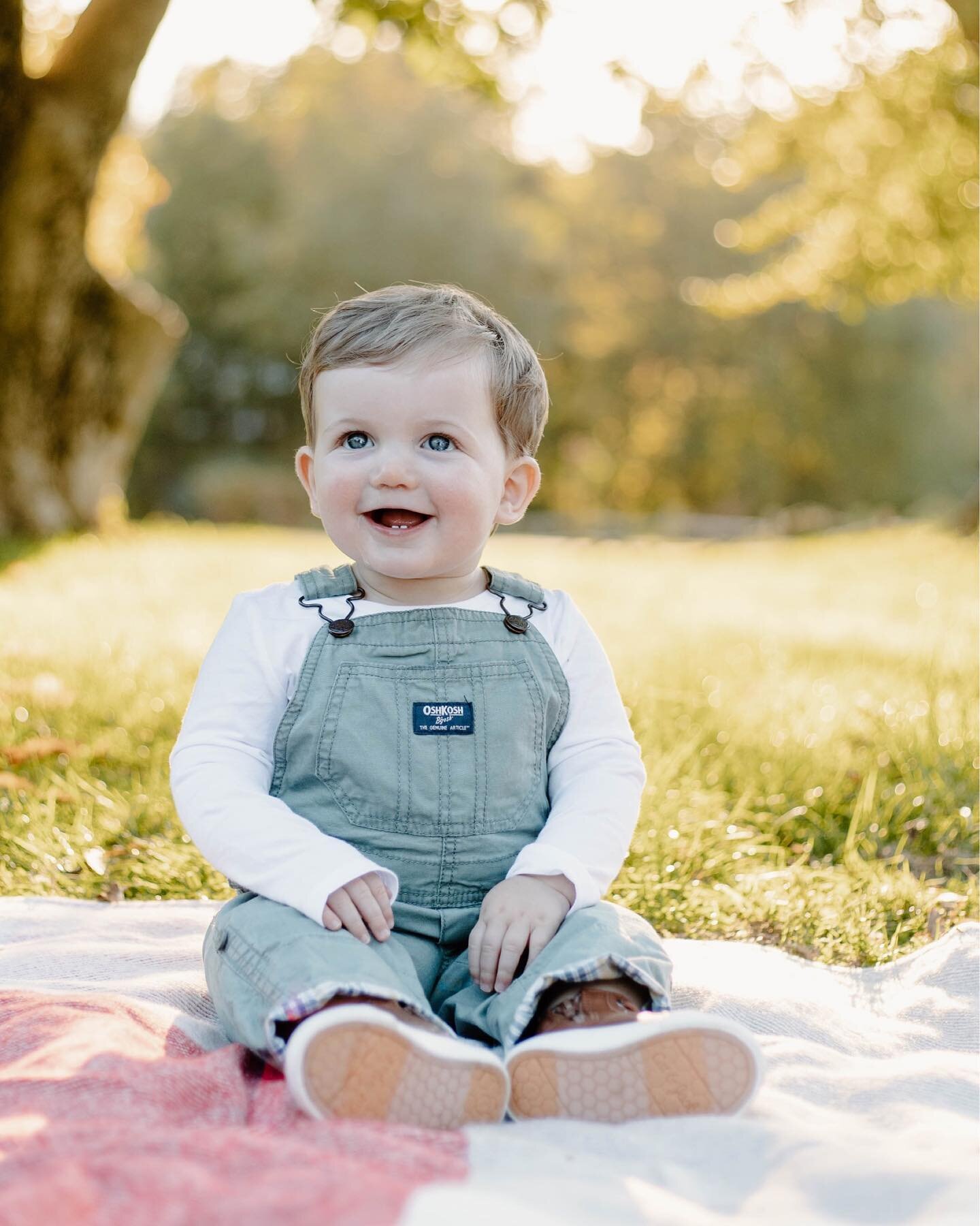 I've been slacking with my posts this season! Here's a few photos from a session I enjoyed so much! 😍 

#familyphotography #childrenphotographer #familyphotographer #valleyforge #valleyforgephotographer #collegevillepa #skippackvillage #skippackphot