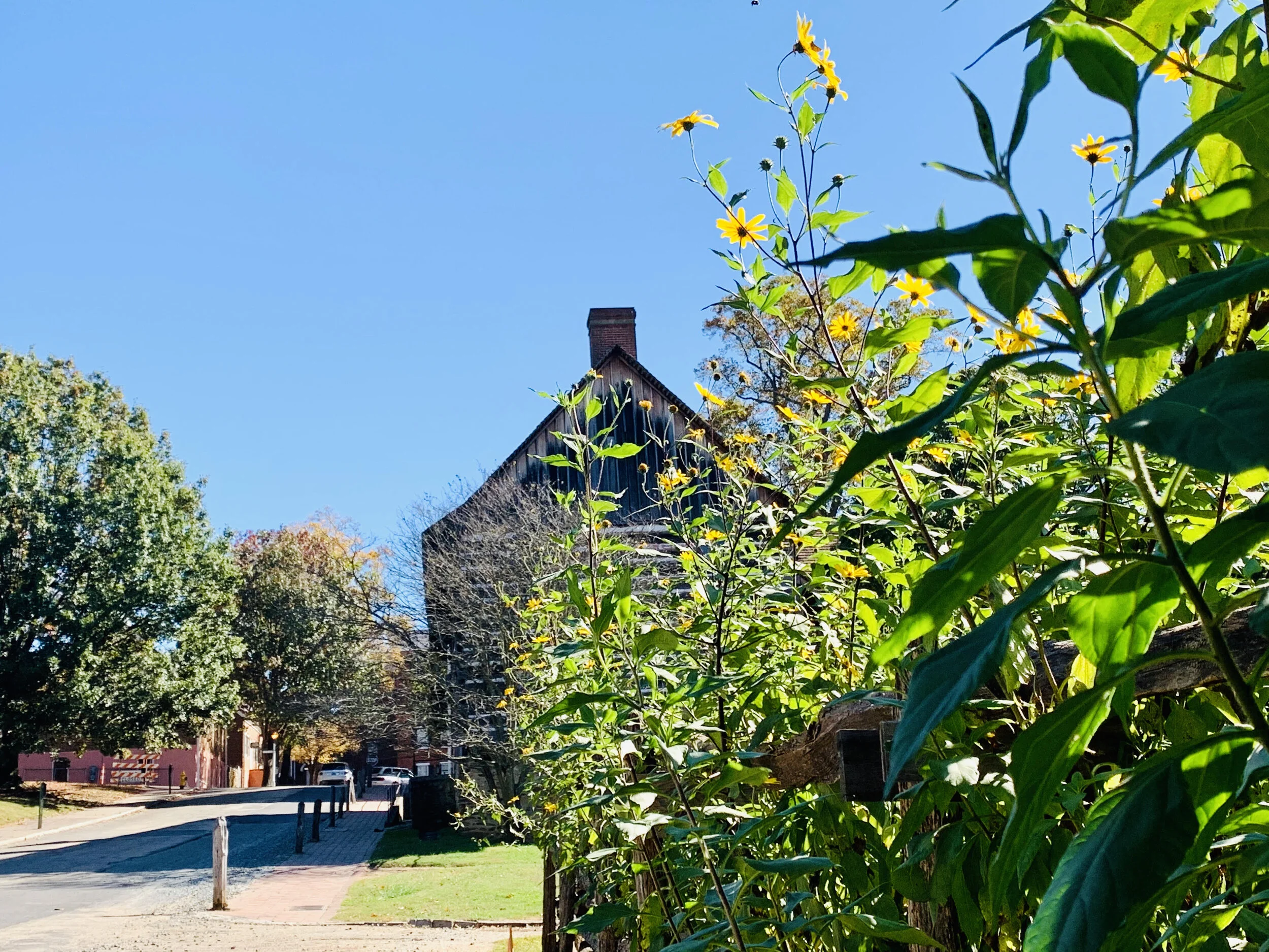 All Work and No Play?