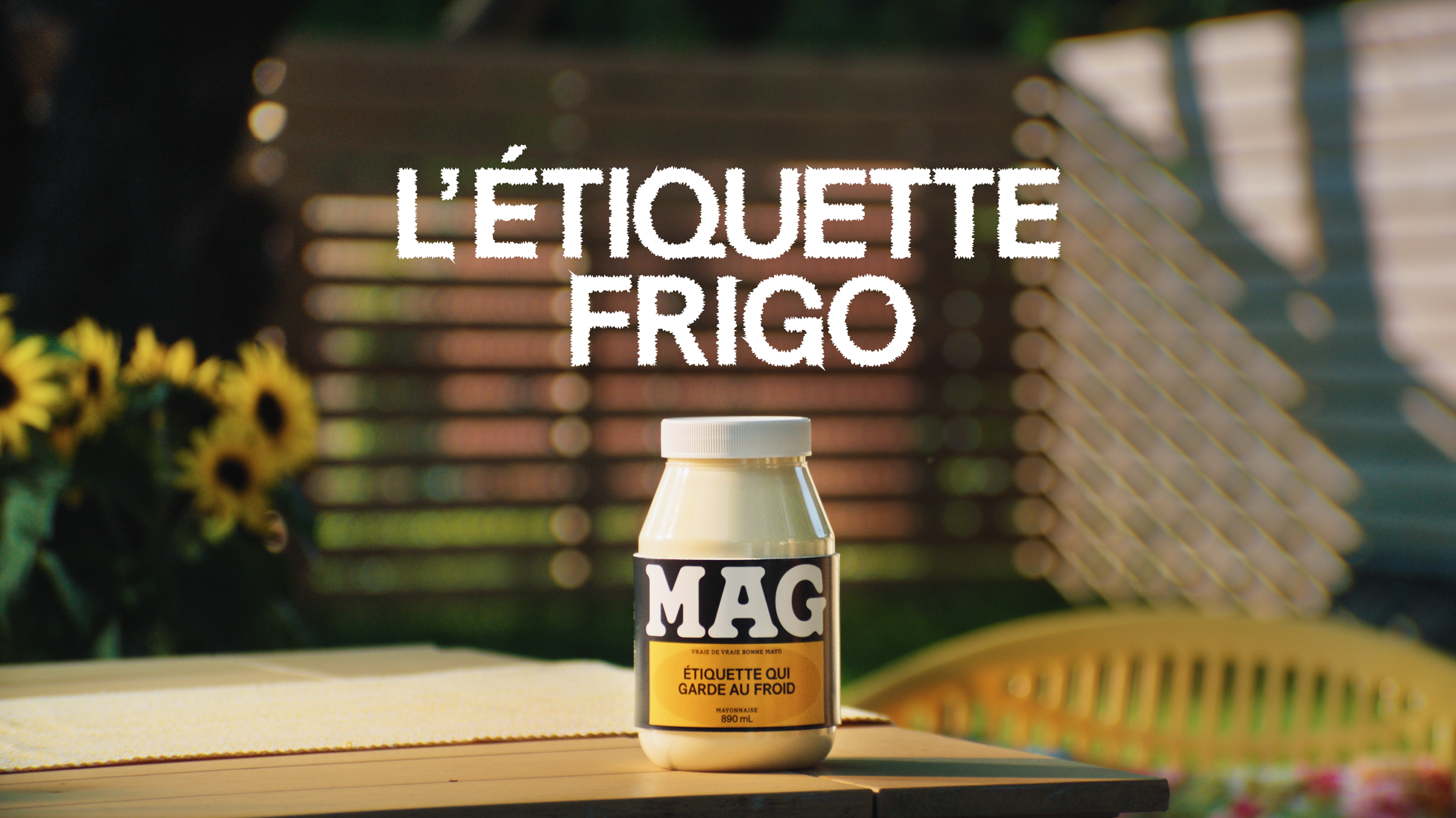 MAG ÉTIQUETTE OFFLINE FR.00_00_49_22.Still004.png