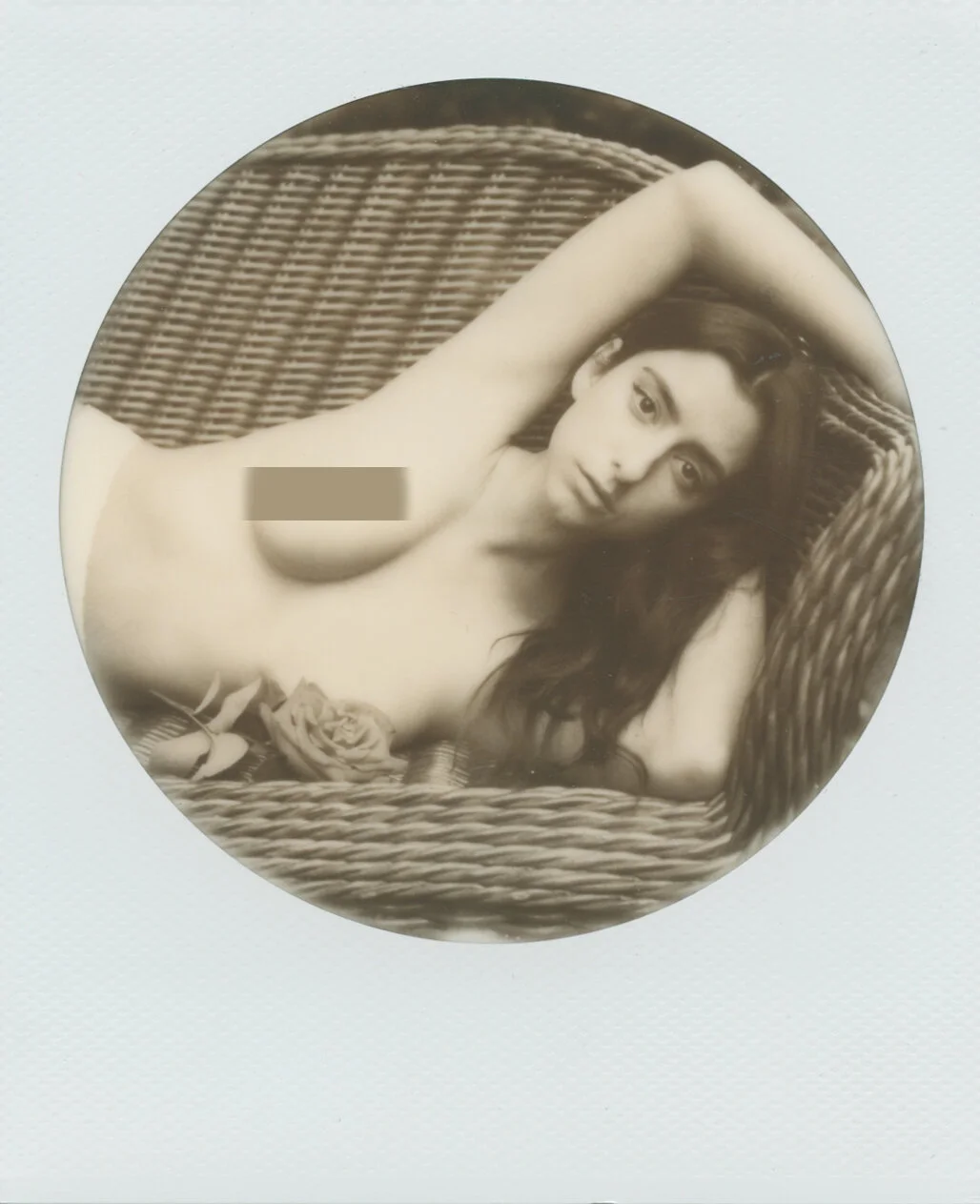 Reed - Impossible Project 600 Type