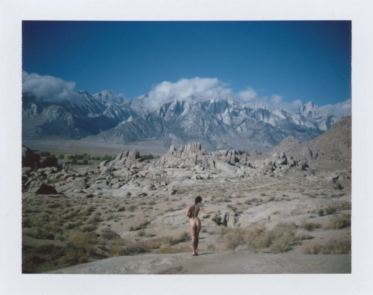 Reed - Fujifilm FP-100C Type