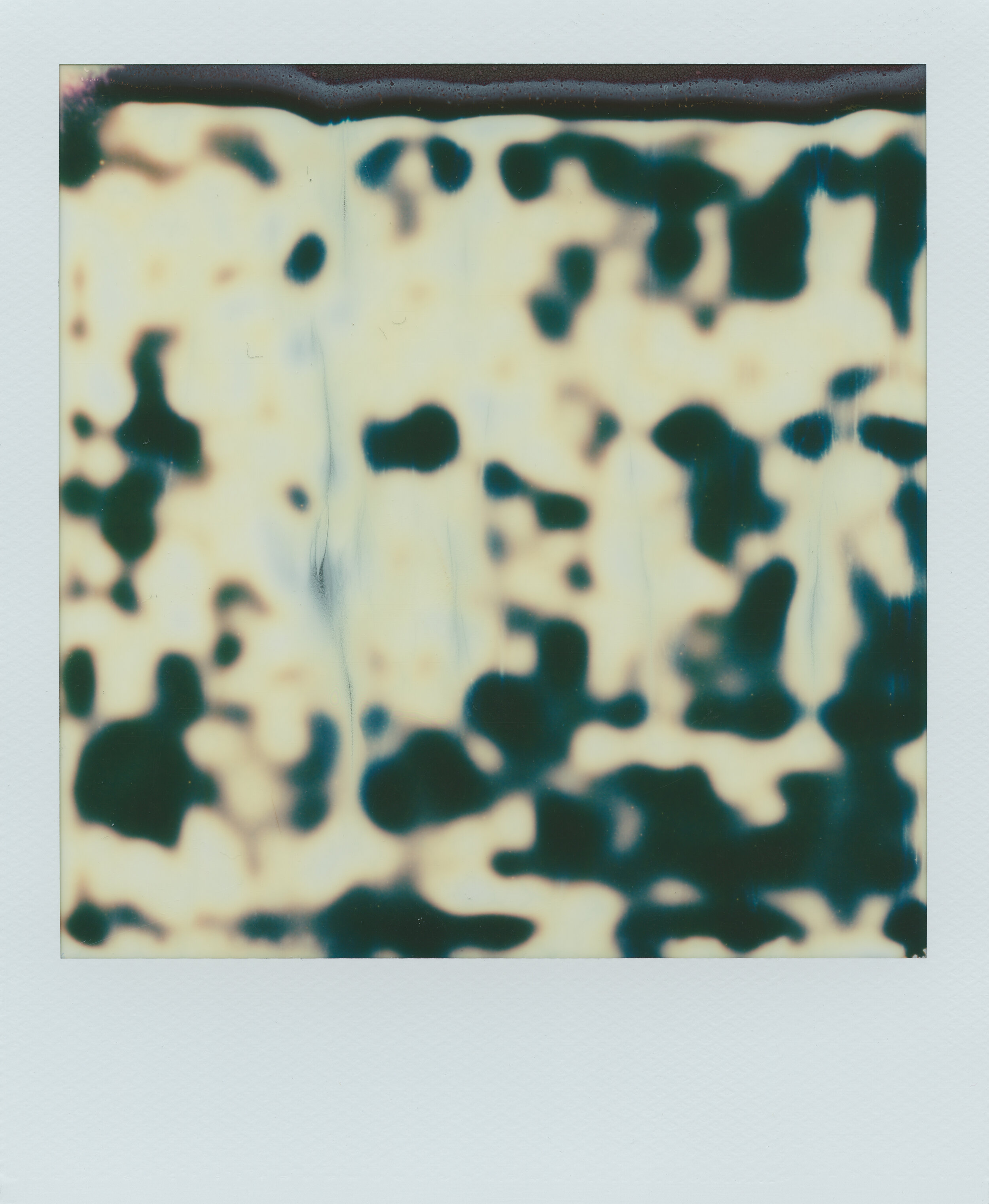 Scan703-Edit.jpg