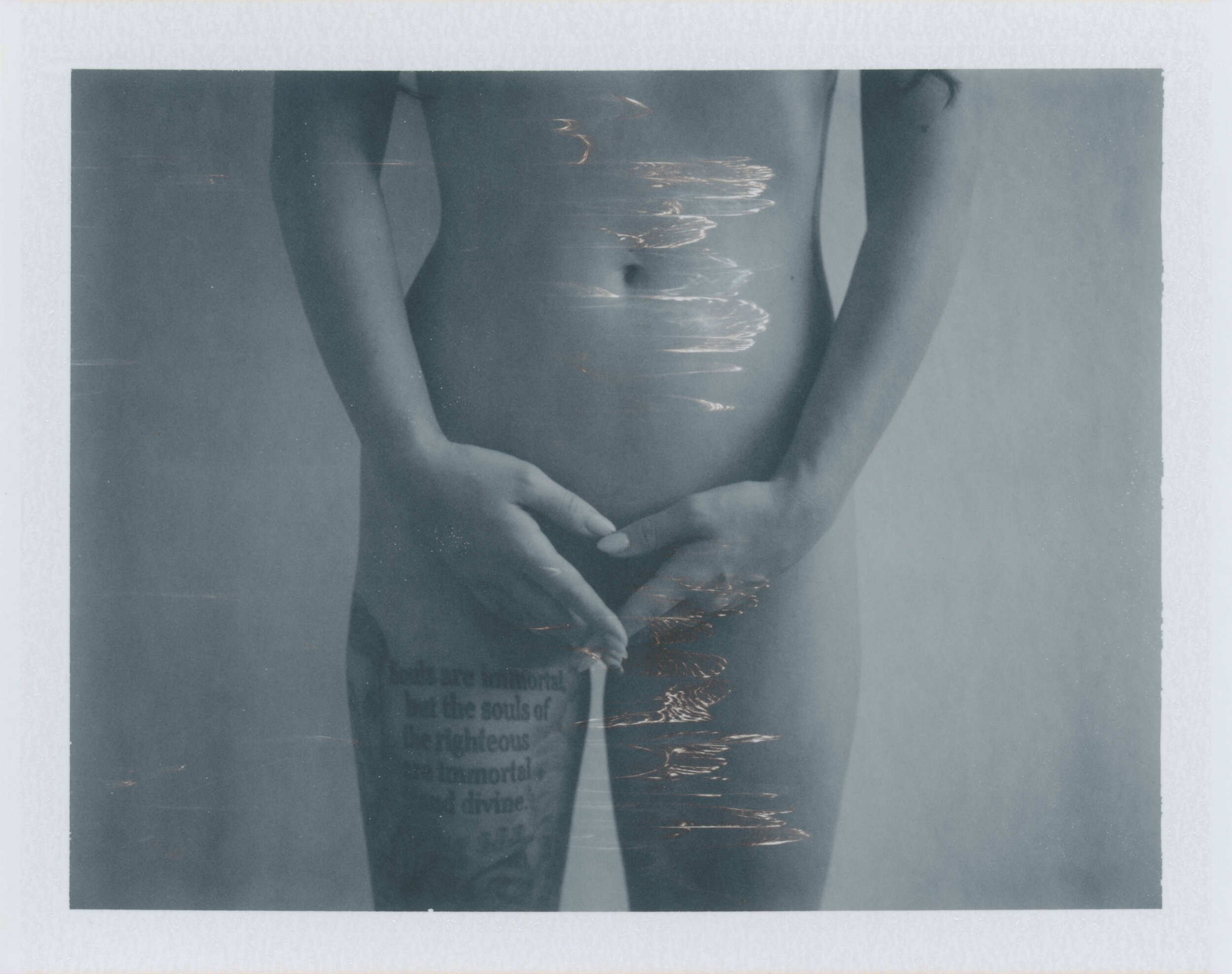 Reed Fujifilm FP-3000B Type