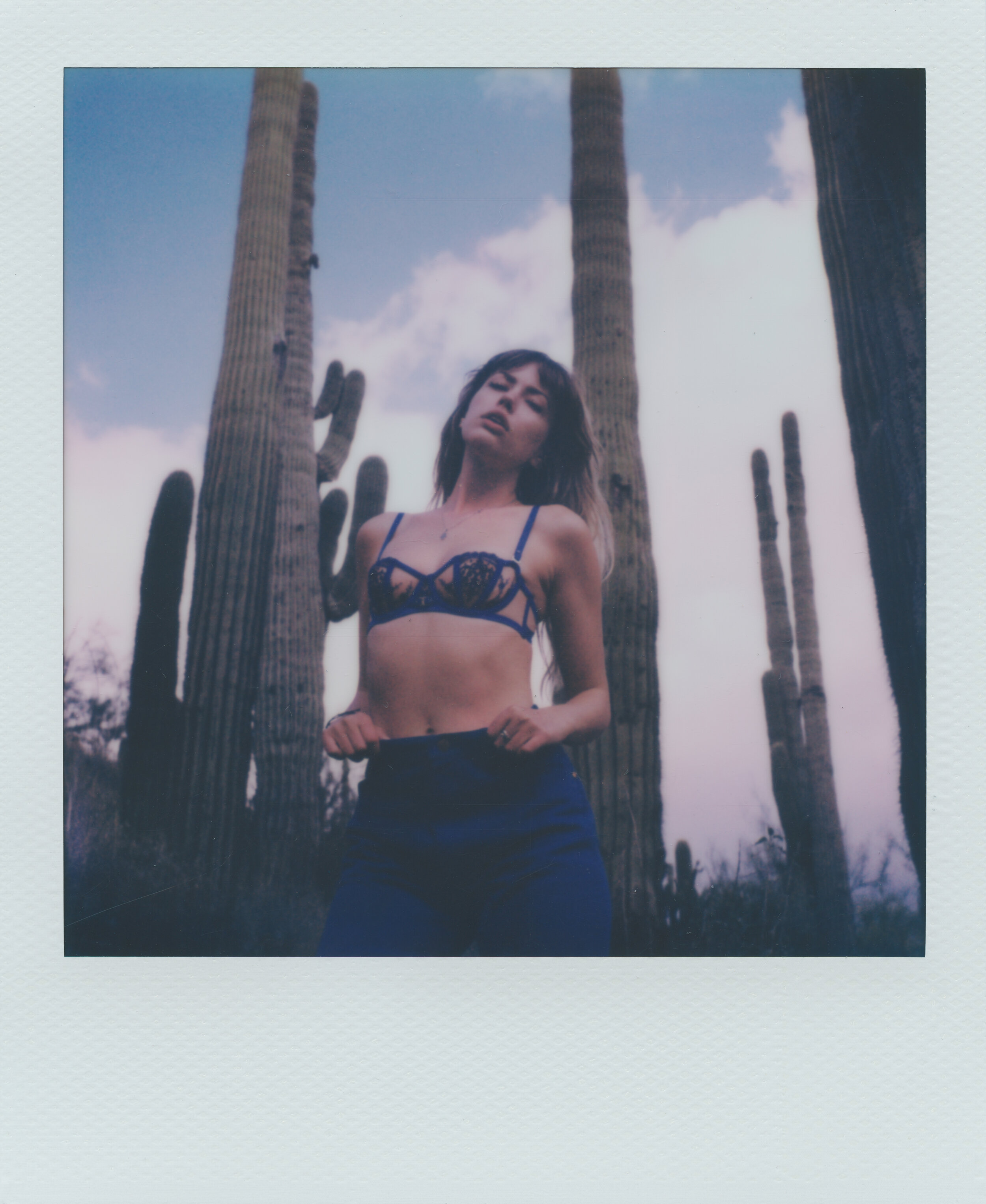 Danielle Moulin - Polaroid SX-70 Type