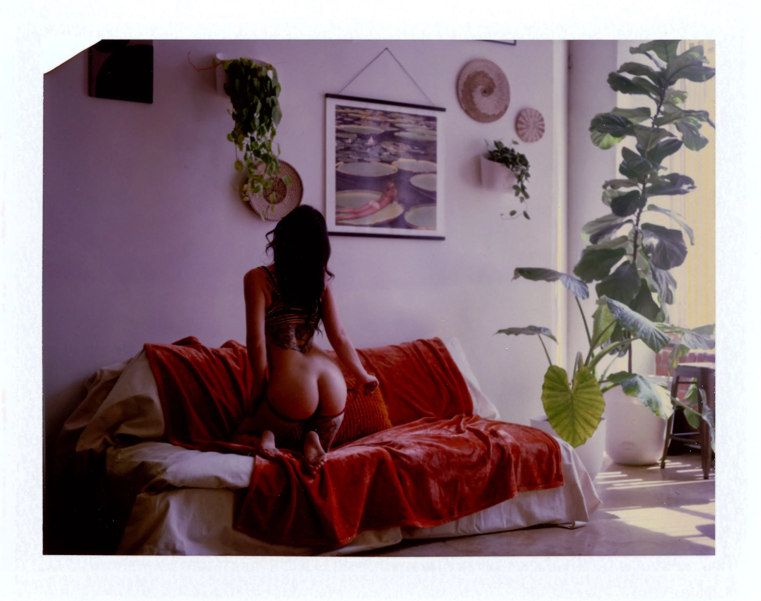 Reed - Fujifilm FP-100C Type