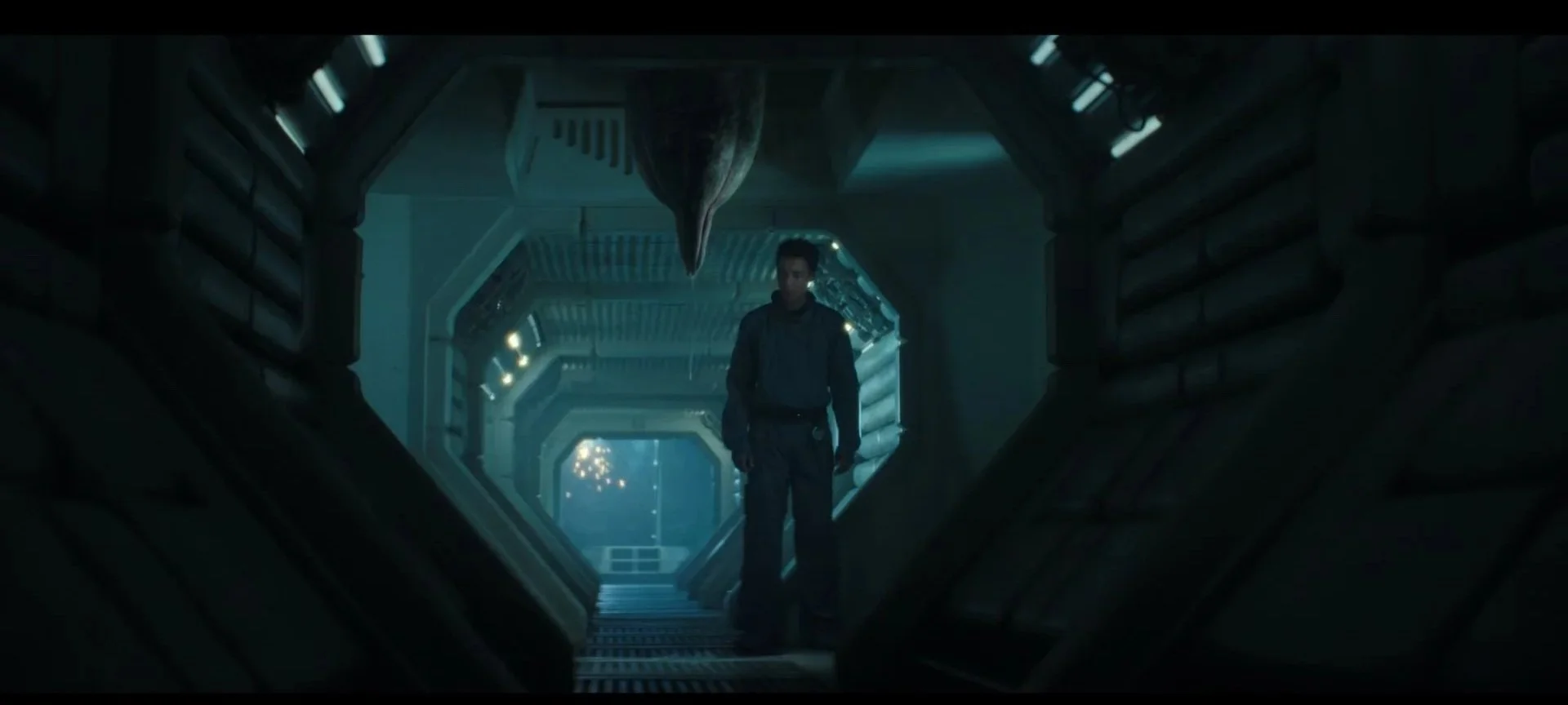Alien+102+Stills_1.8.4.jpg