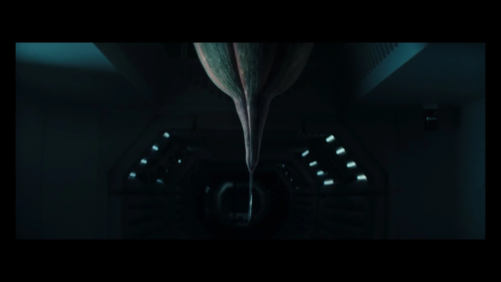 Alien S1 BTS-26.jpg