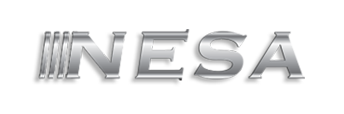 Nesa Logo