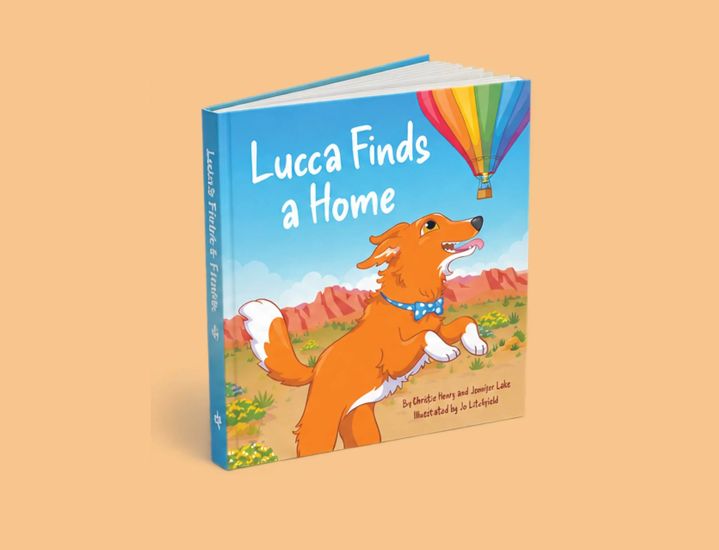 Luca Finds a Home