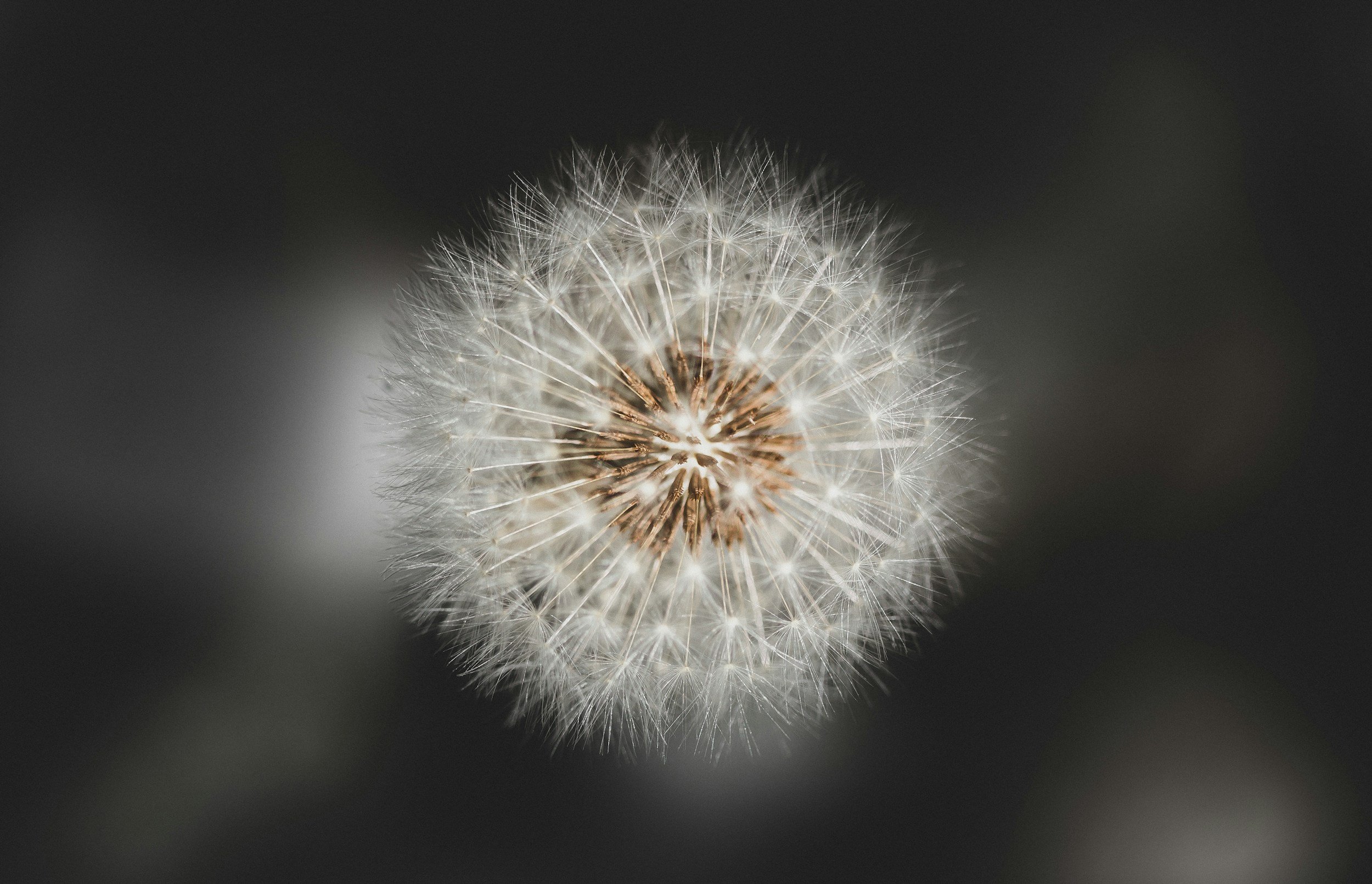 Sensitivity, Neurodivergence &amp; Histamine