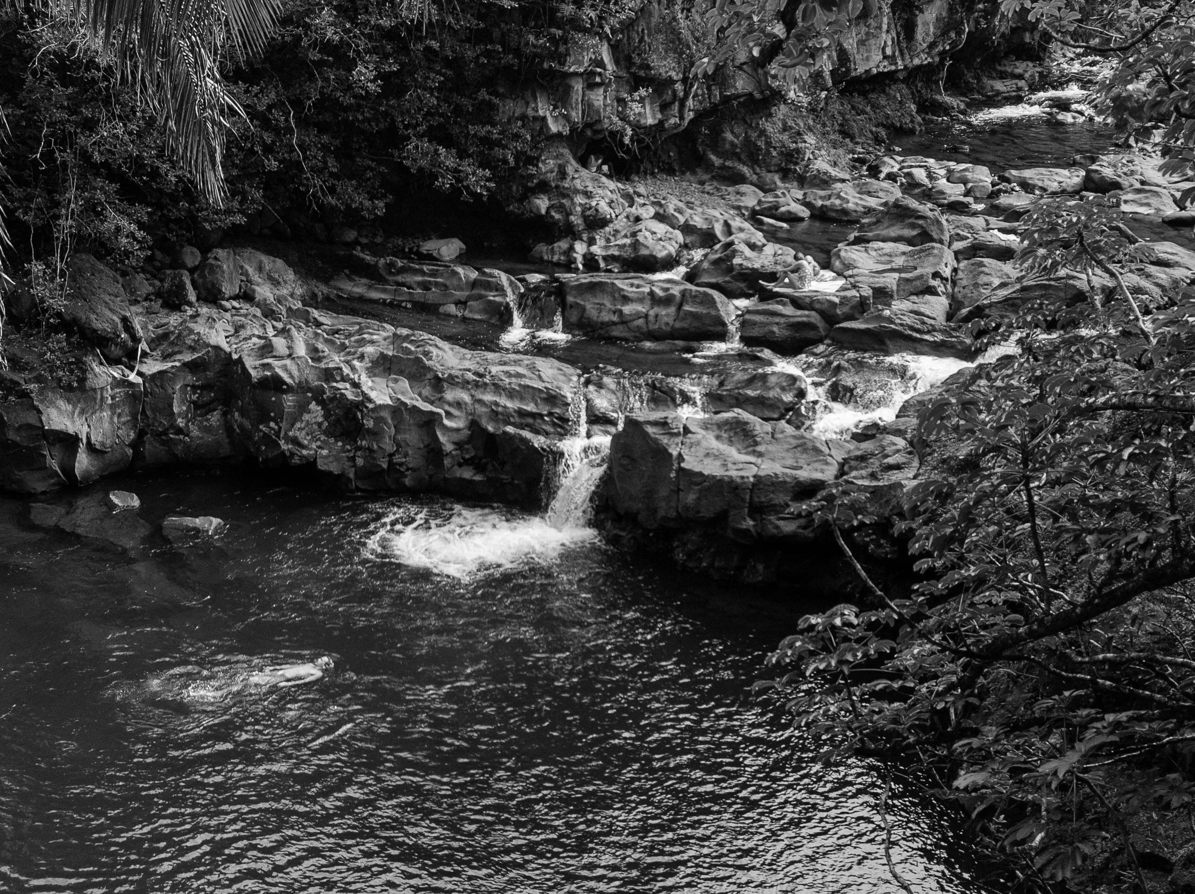 DJI_0228.jpg
