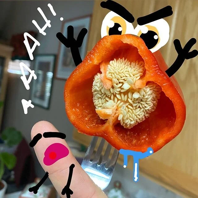 It&rsquo;s a scary world out there! 😨 #doodle #doodling #doodlesofinstagram #doodleart #food #pepper #creativity #illustration #monster #comic #doodlesoftheworld #doodler #ilustracion #donteatme #doodlelove #doodle_art #doodledrawing #doodle