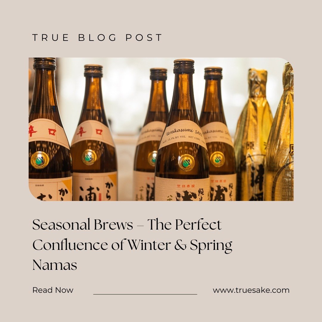 Check out our latest blog by True Sake, the masterminds behind SAKE DAY SF 🍶 Dive into the delightful confluence of winter and spring with seasonal nama brews. Experience the fresh and flavorful offerings perfect for pairing with seasonal cuisines. 
