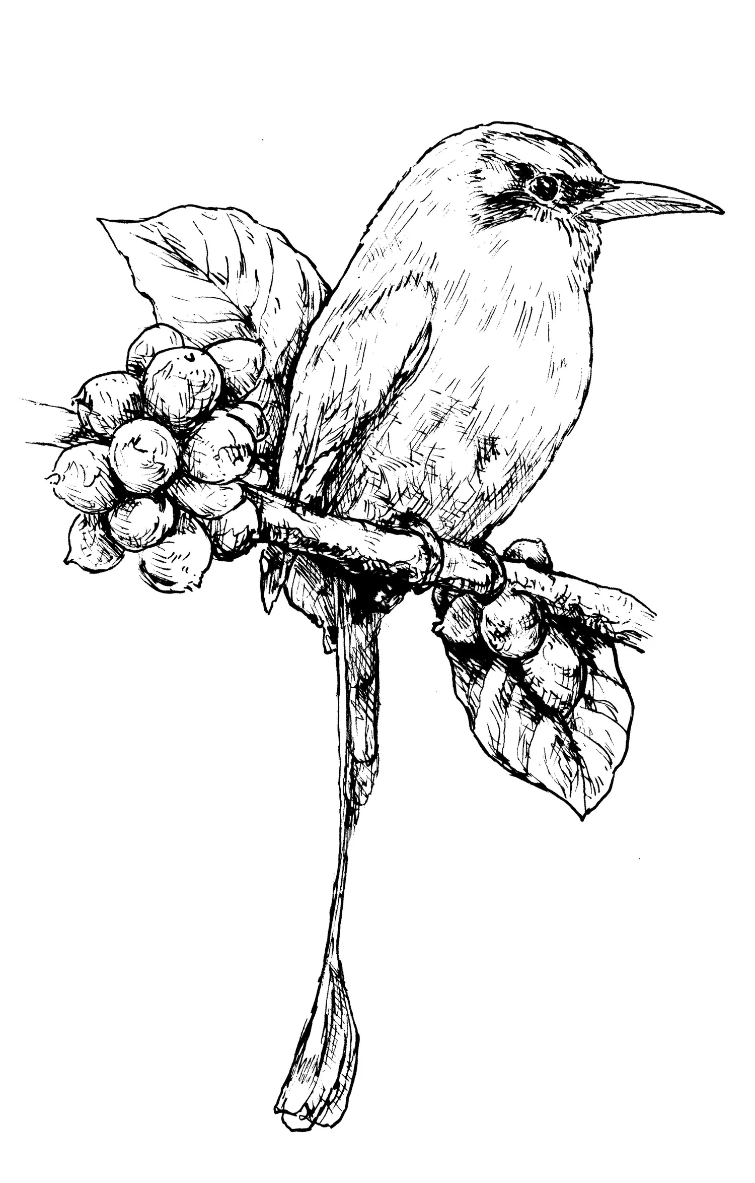 Symposium &amp; Sheard Coffee 