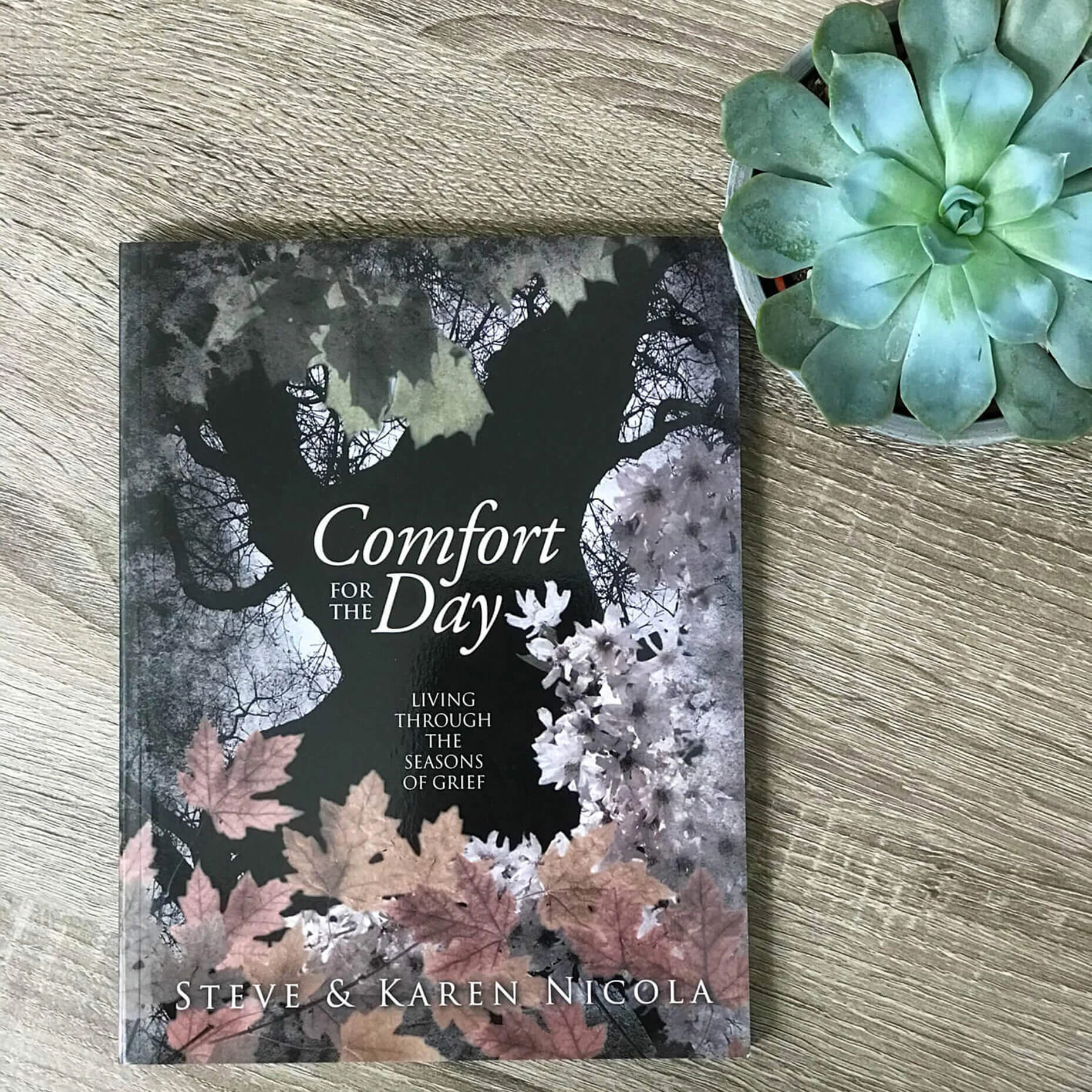 comfort-for-the-day_grief-counseling-book_8969.jpg