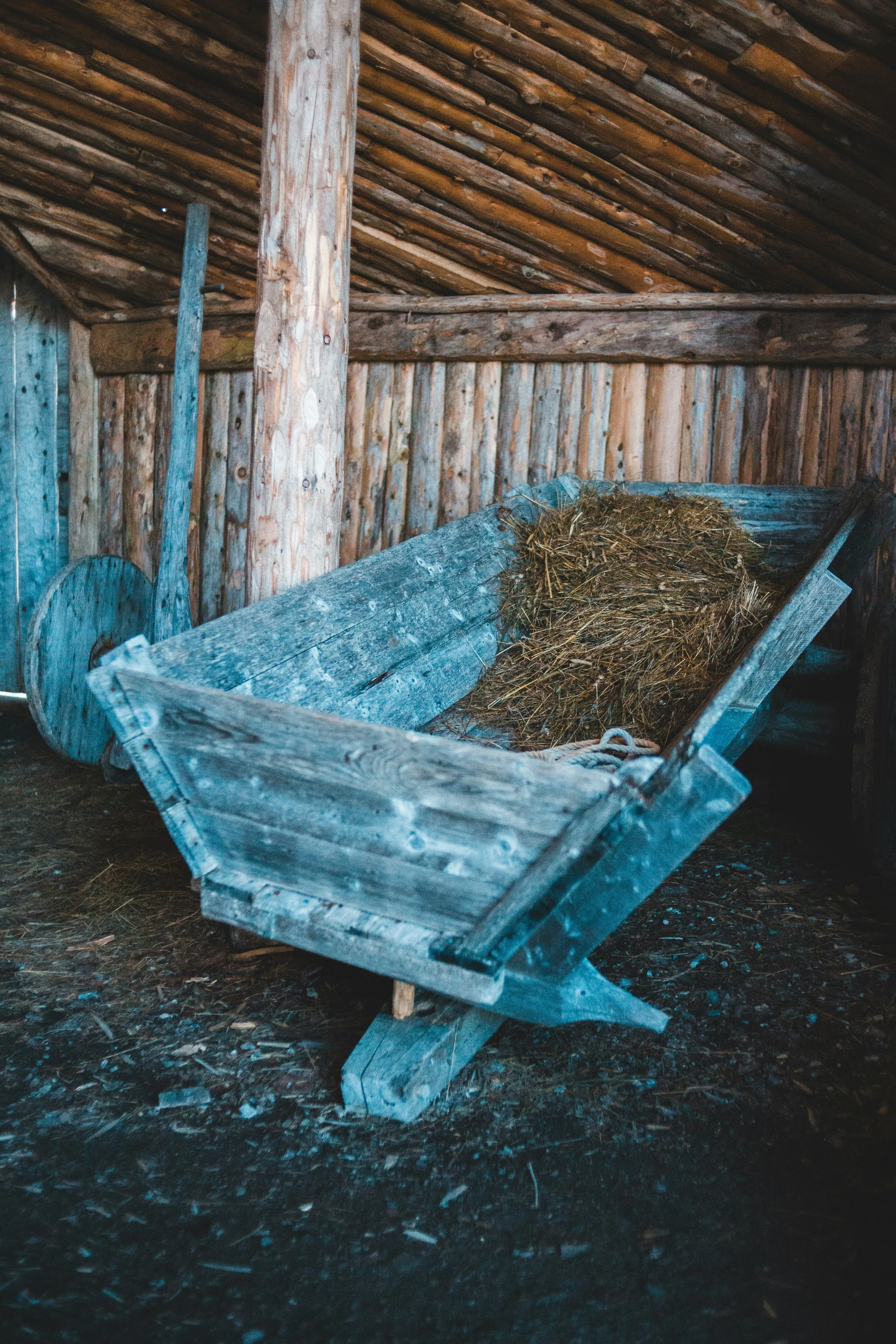 God Shows up in a Messy Manger &amp; Our Messy Grief