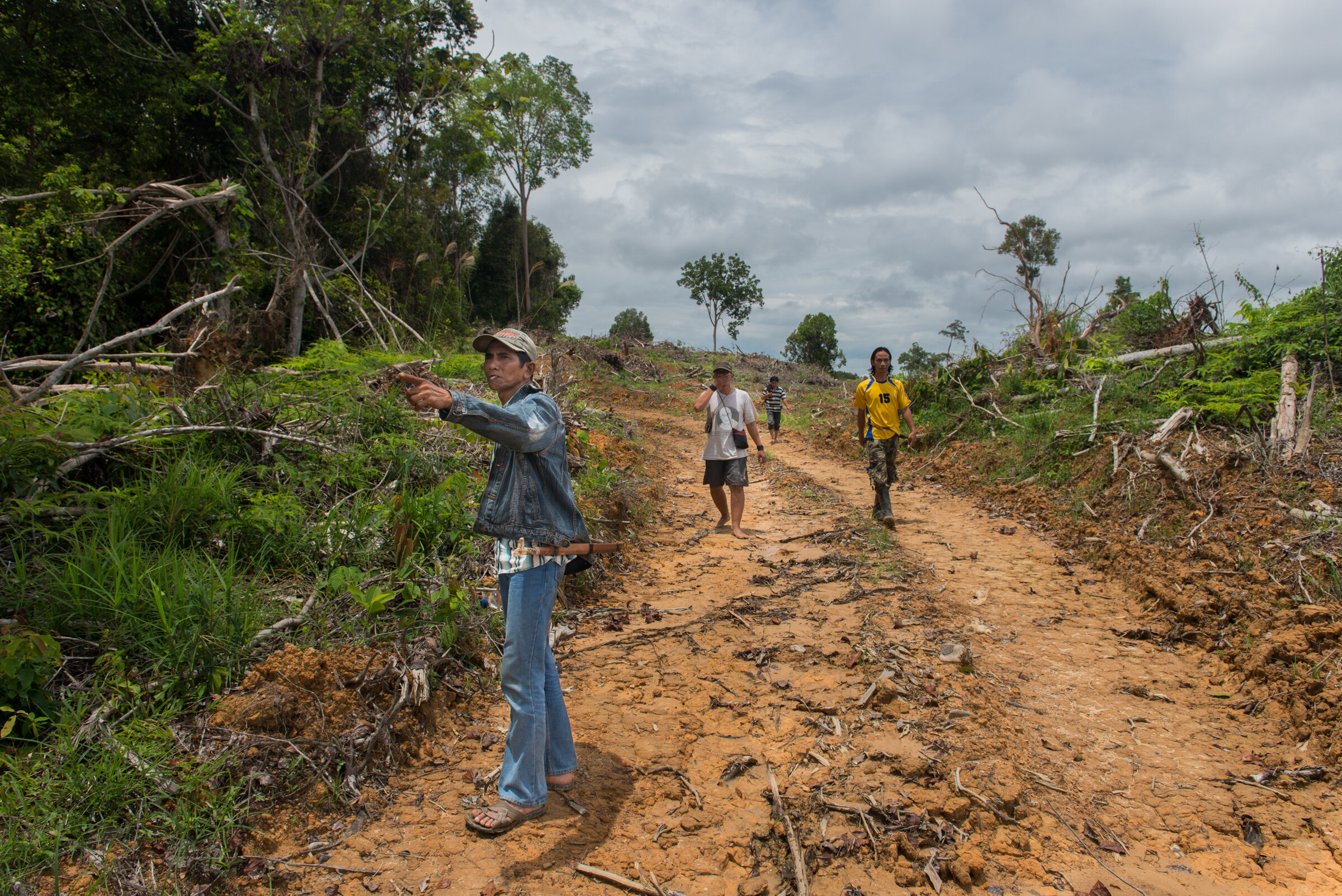 Surviving Palm Oil-07.jpg