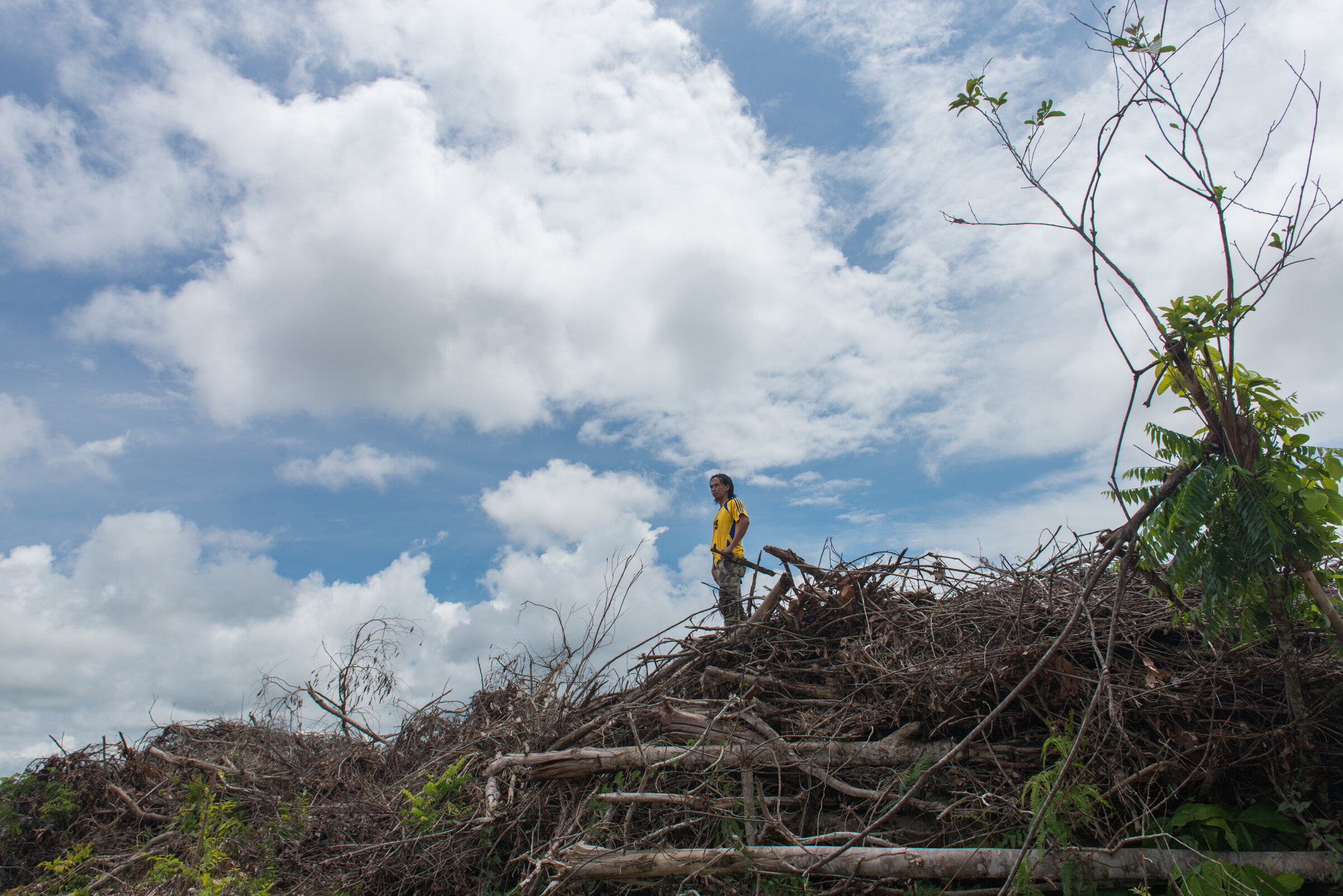 Surviving Palm Oil-09.jpg