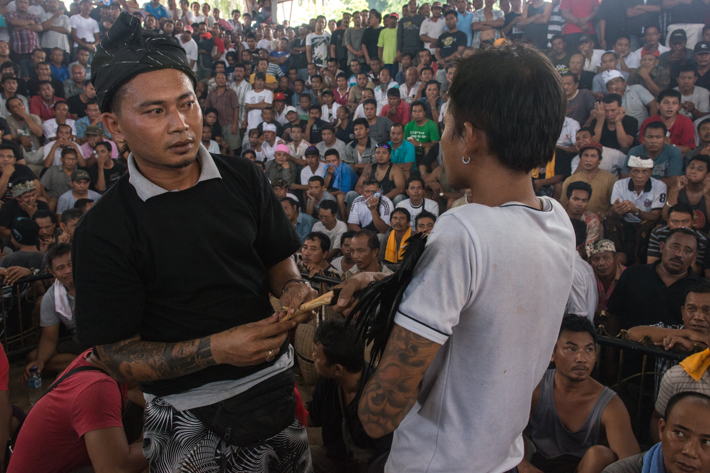 Bali Cockfight-13.jpg