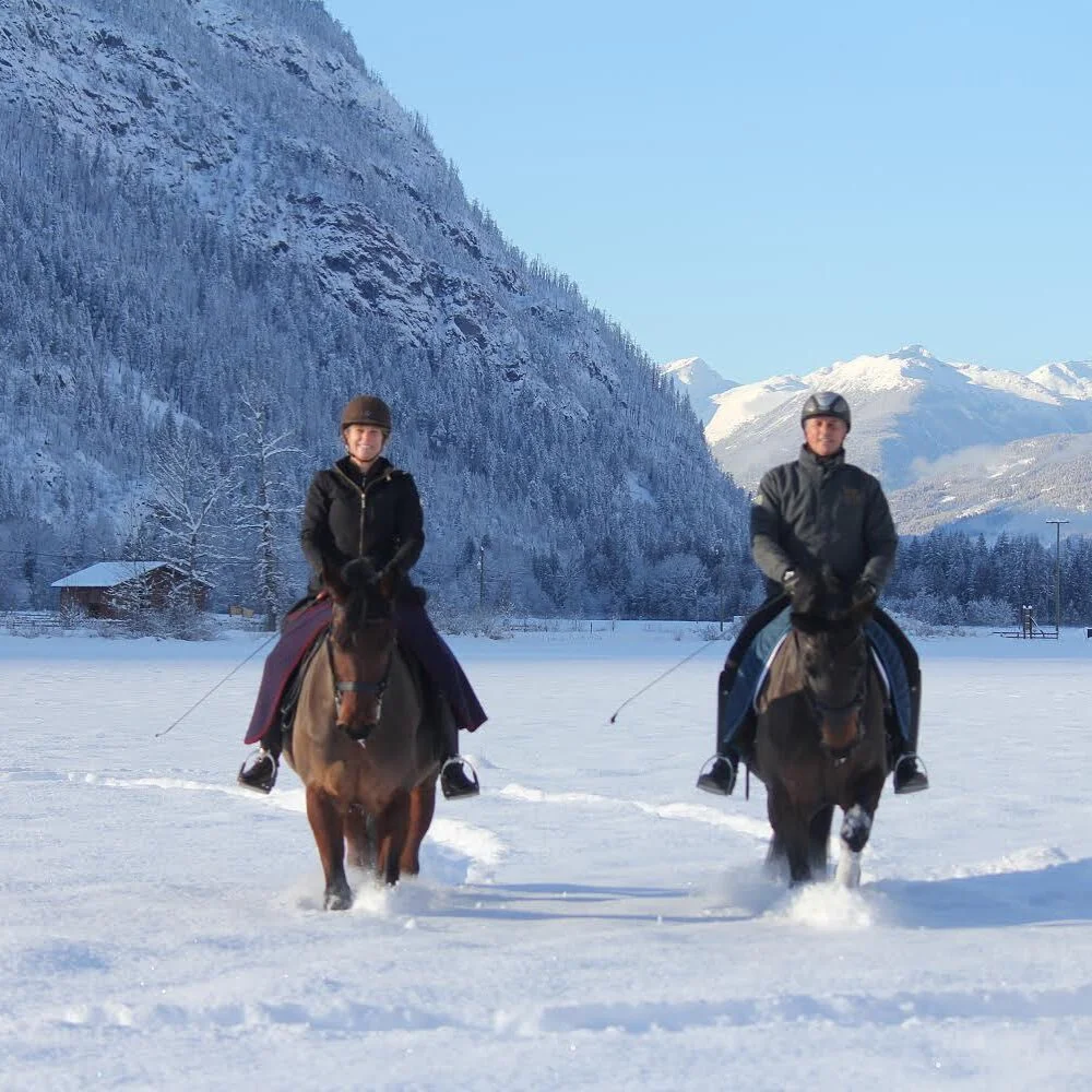 Time to get out of the arena! #snowday❄️ 
The snow has been coming down for days here in the Pemberton Valley. Although it is fun to ride in the snow, we ask that all our clients take care on the roads and postpone your farm visit/lesson/etc if you&
