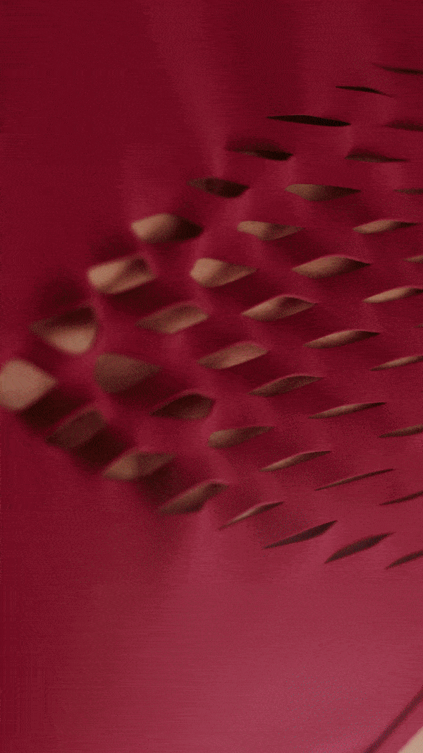 ezgif.com-optimize (17).gif
