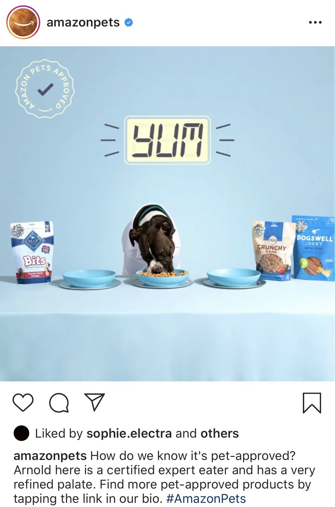 amazonpet1.jpg